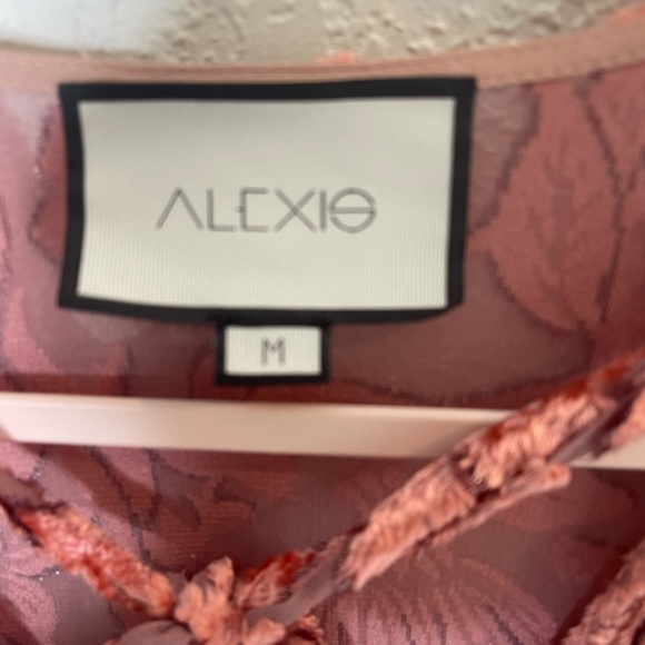 Alexis Long Sleeve Silk Sheer Velvet Top Front Tie Deep V Neckline Size M Salmon - Picture 8 of 12